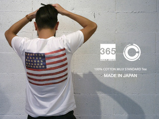 CA31メイン.jpg