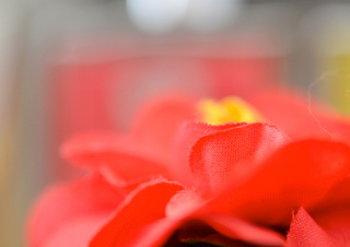 造花.jpg