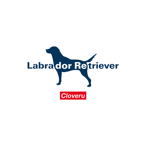LABRADOR-RETRIRVER-with-Cloveru1.png