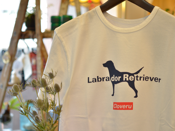 LABRADOR-RETRIRVER-with-Cloveru2.png