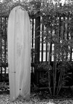 NEW ALAIA.jpg