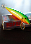 SQ11-SHO BLOG4.jpg