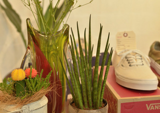 THE-SHOWroom3.jpg