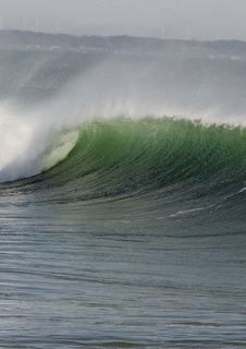 WAVWS.jpg